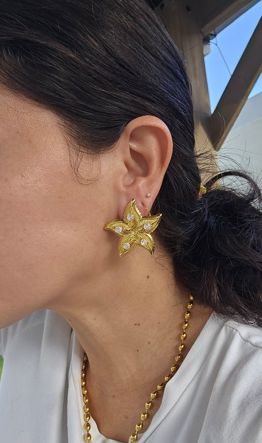 Aretes Estrella y Zirconias