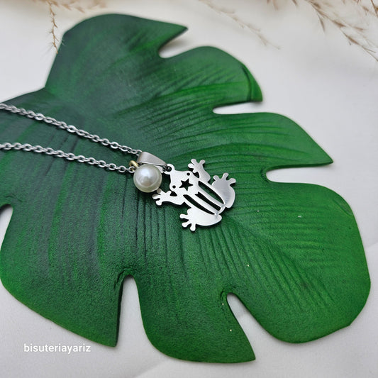 Collar Bandera/Coqui