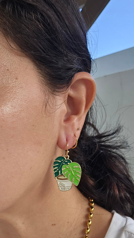 Aretes Monsteras