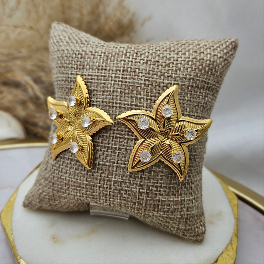 Aretes Estrella y Zirconias