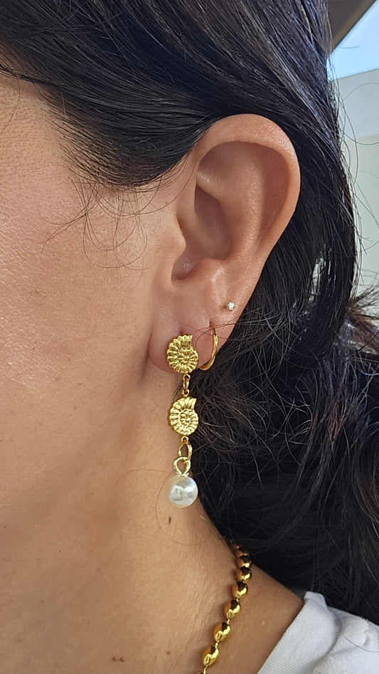 Aretes Caracola